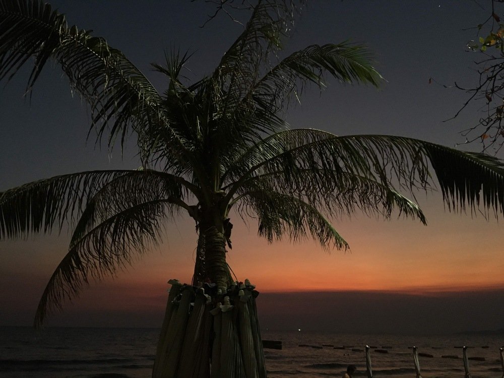 Photograph by Елена Хорошильцева