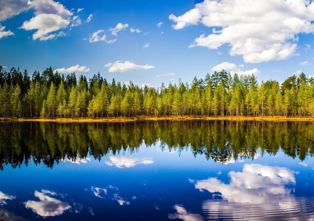 Ламбушка в Карелии