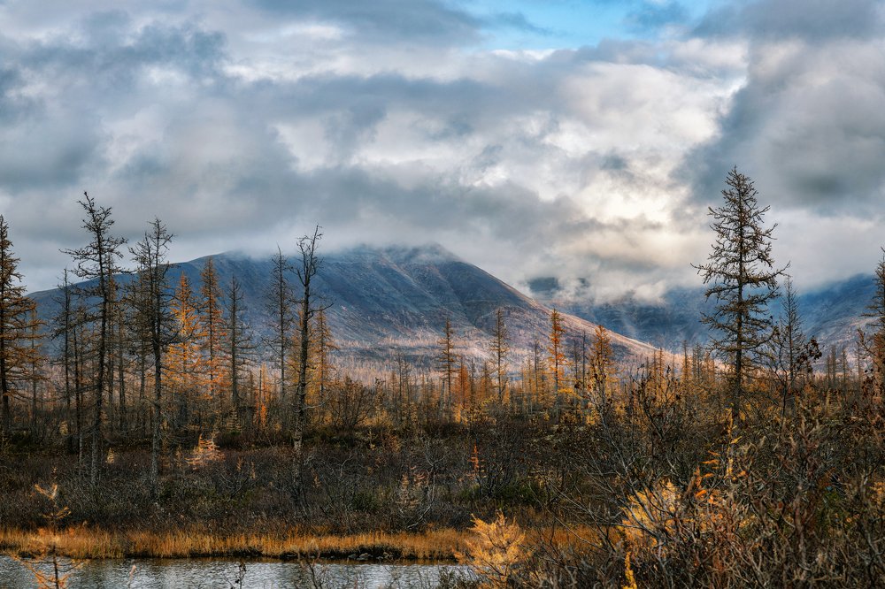 Осень на Таймыре.
