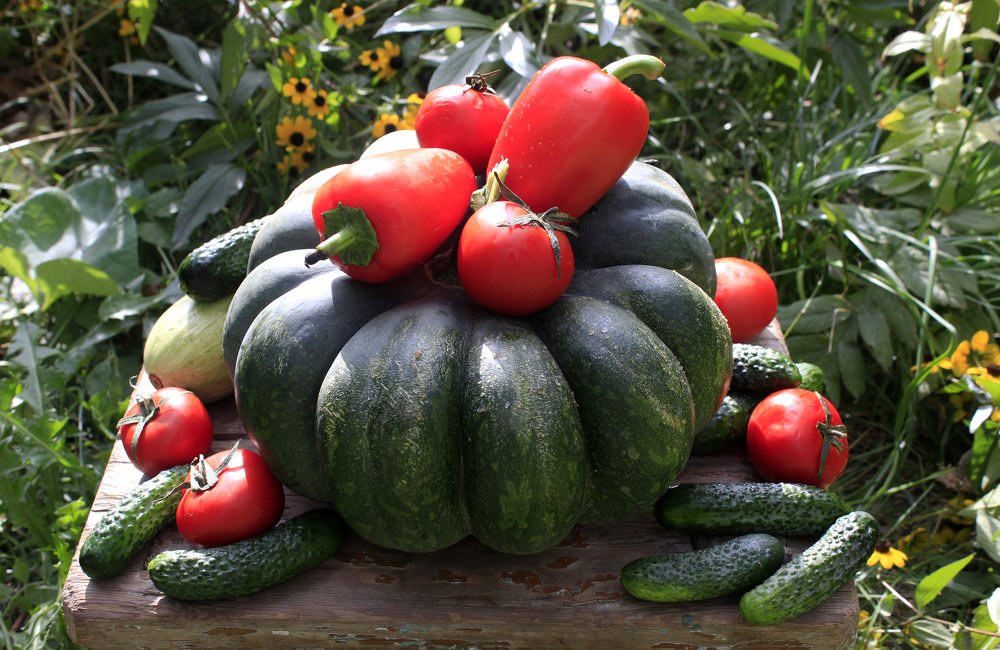 Photograph by Аля Портных