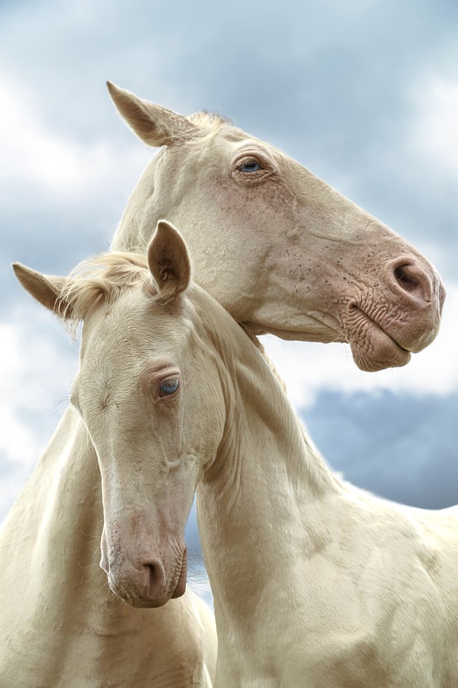 Photograph by Константин Кукушкин