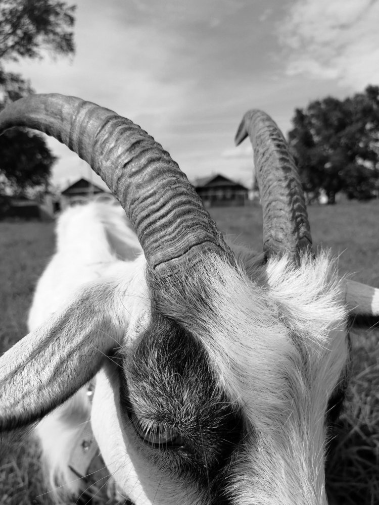 Photograph by Марина