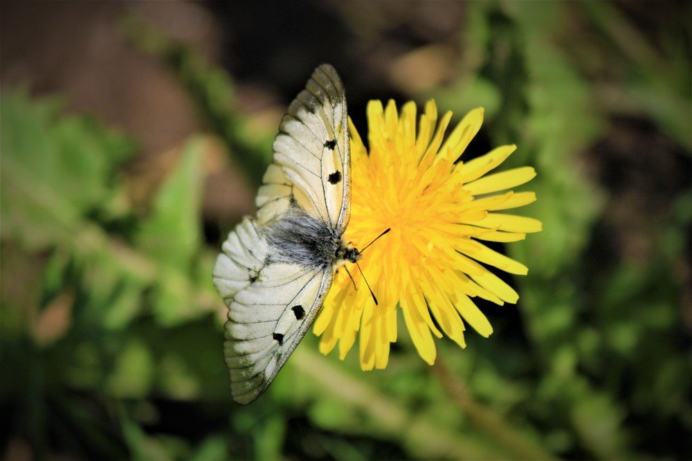 Photograph by Марина Игнатьева