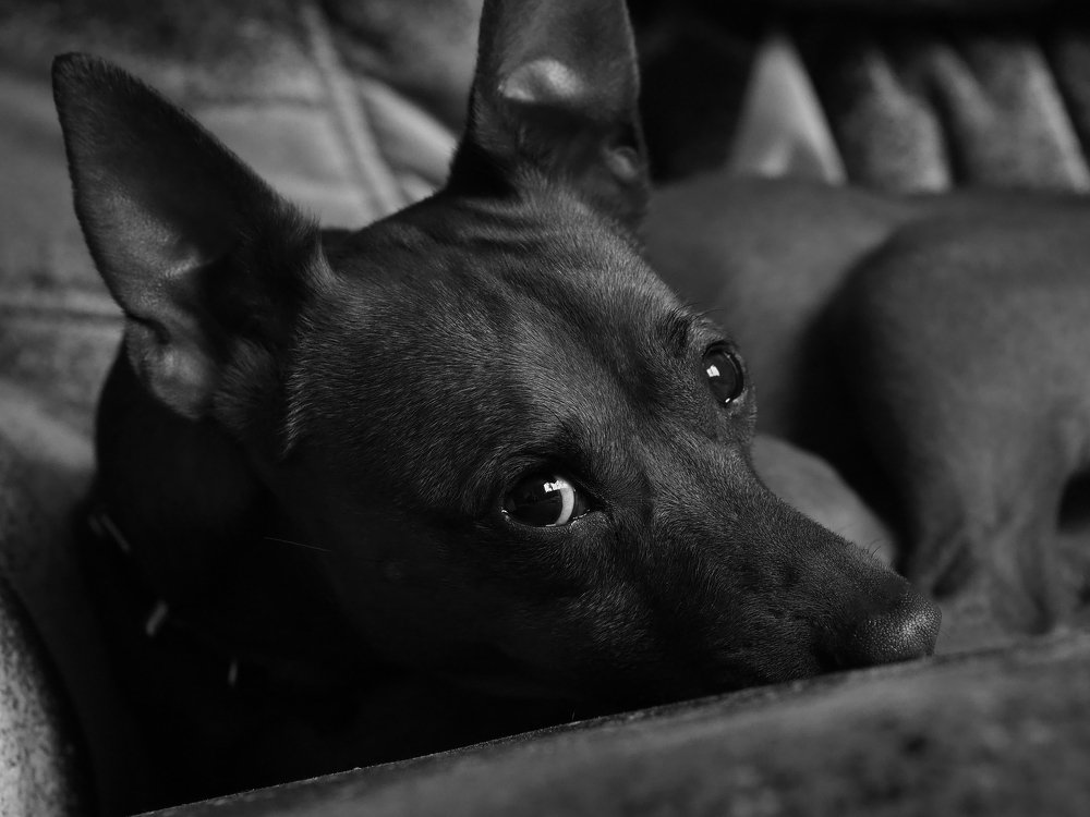 Photograph by андрей гусев