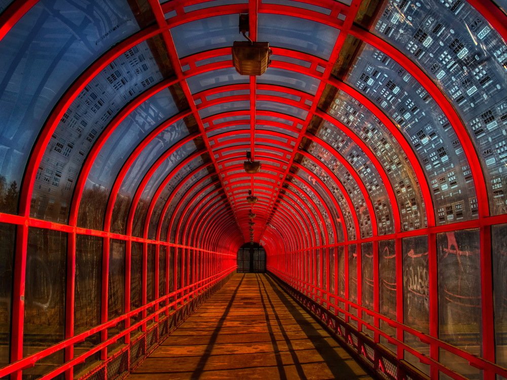 Предчувствие опасного...