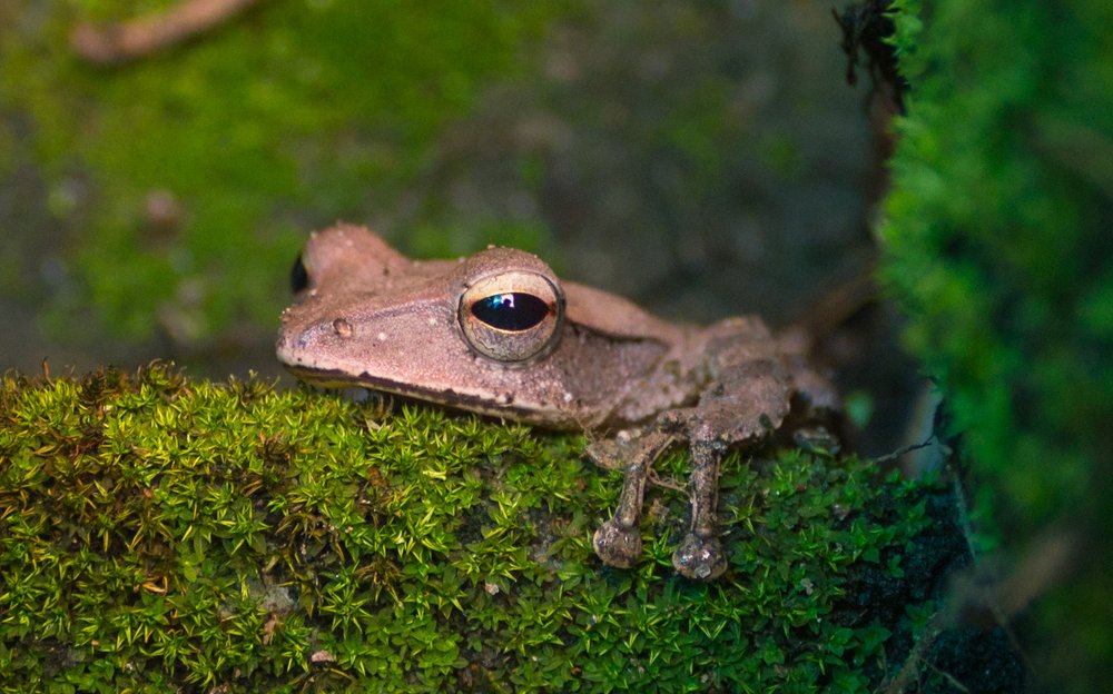 Фотография автора abhilash a k