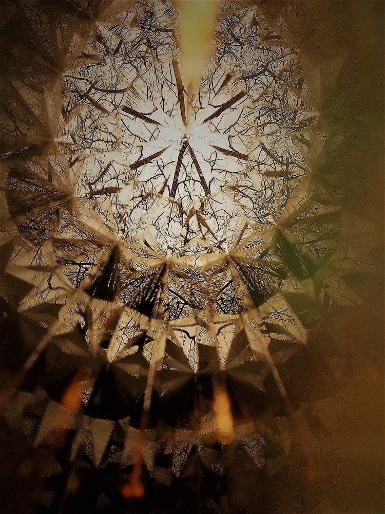 Photograph by Марина Игнатьева