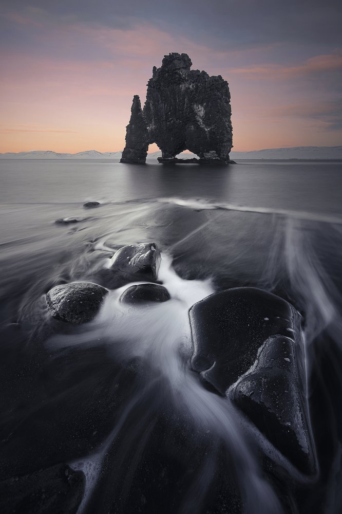 Фотография автора Niccolò Vianello