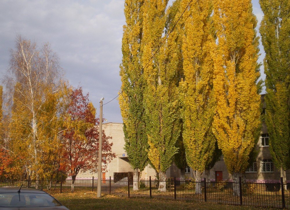 Photograph by венера