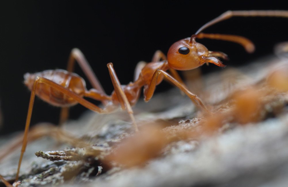 Photograph by Mark Kineth Casindac