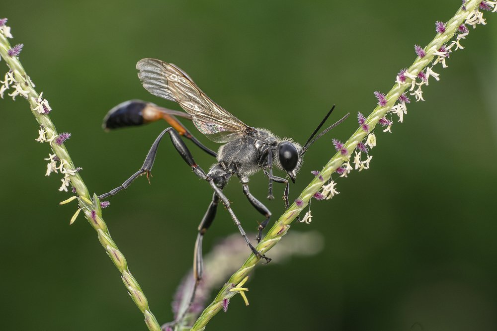 Photograph by Mukesh Tripathi