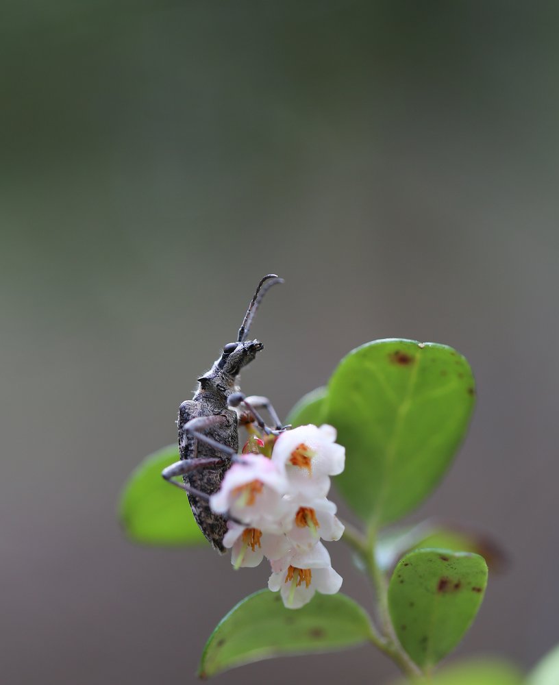 Photograph by Евгения Левина