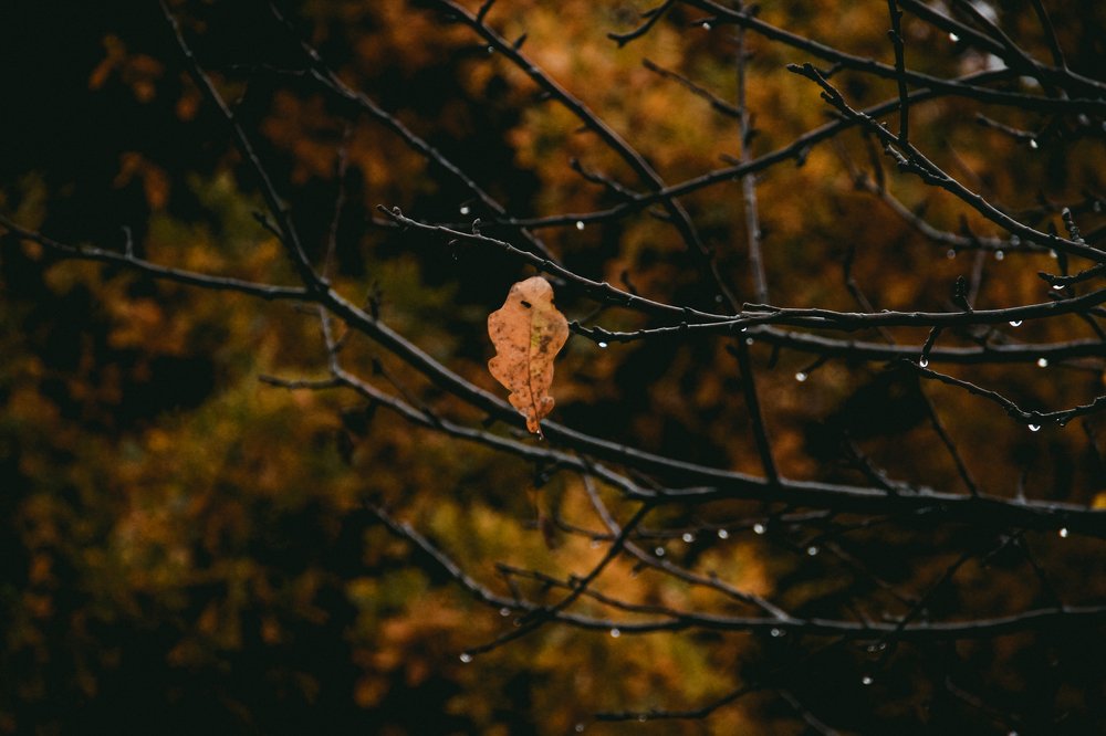 Photograph by Валерия Калиниченко
