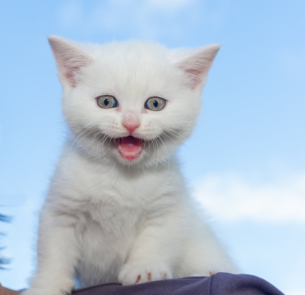 Фотография автора Сергей Середовой