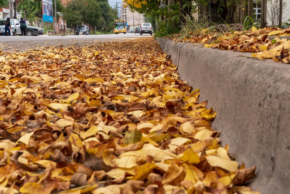 Photograph by CAROLINA INES FRANCO