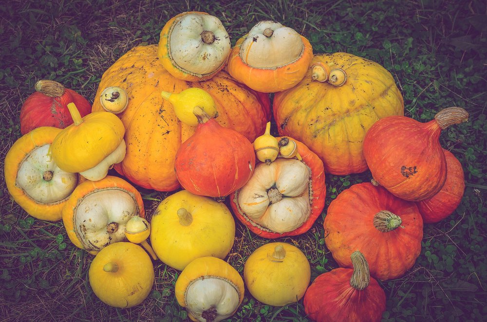 Photograph by Сергей Глухарев