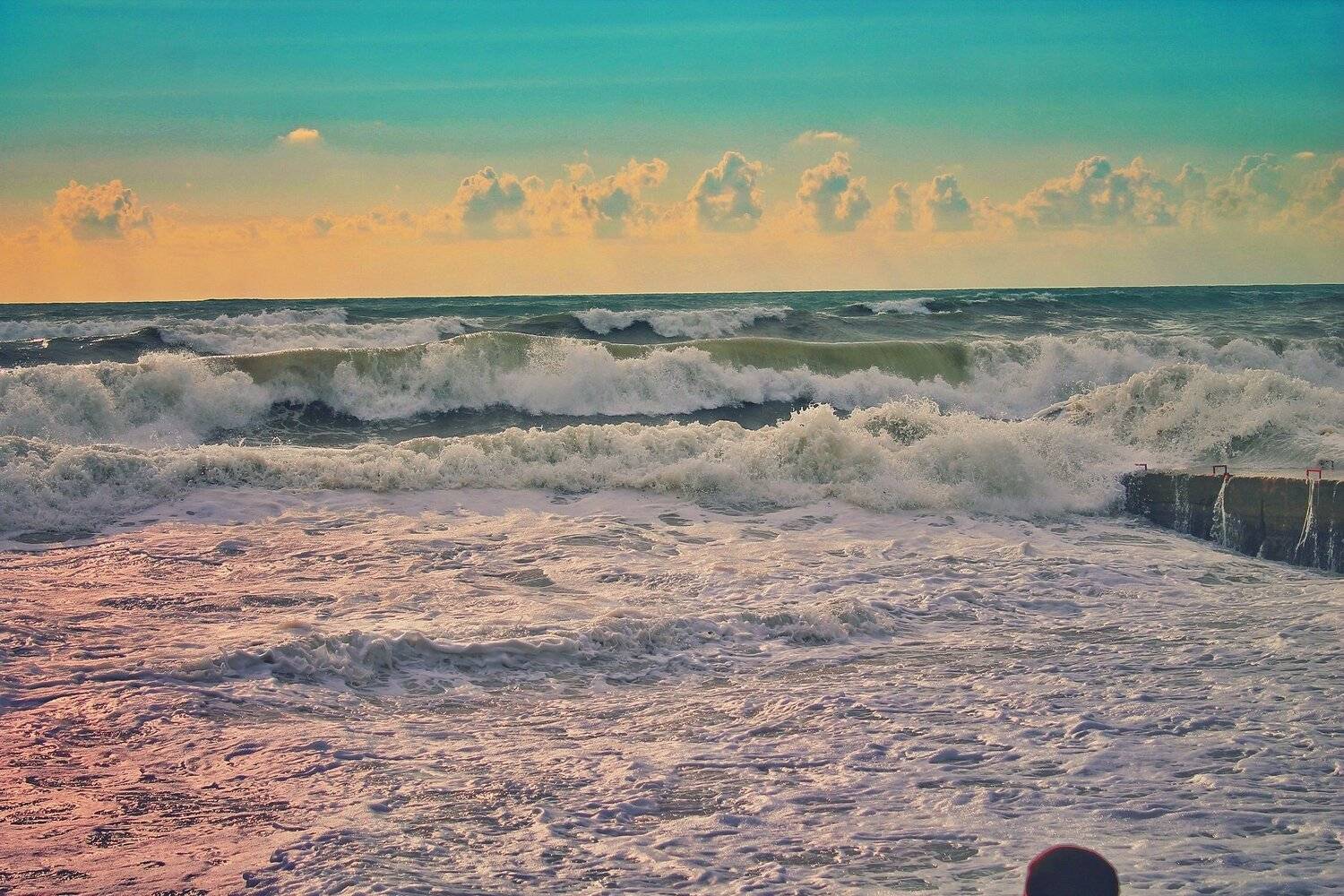 Photo #5263250