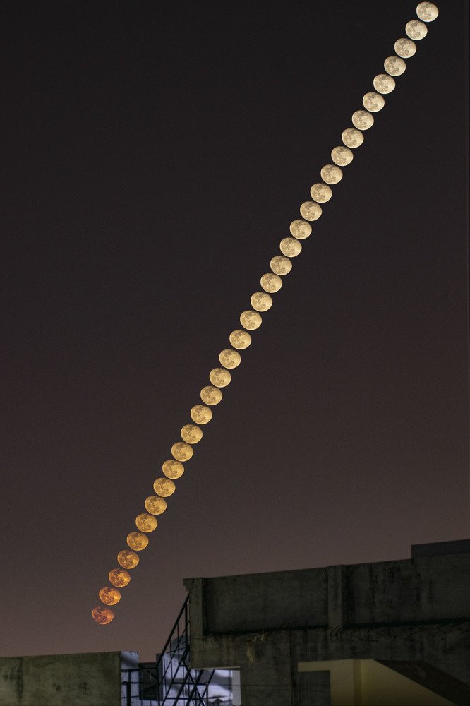 Photograph by Mukesh Tripathi