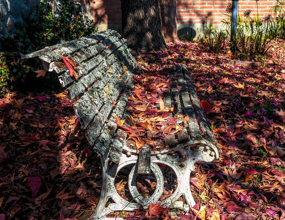 Photograph by CAROLINA INES FRANCO