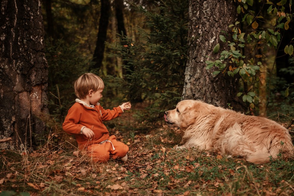 Photograph by Валентина Козлова