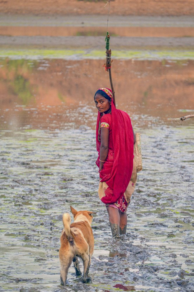 Photograph by Mukesh Tripathi