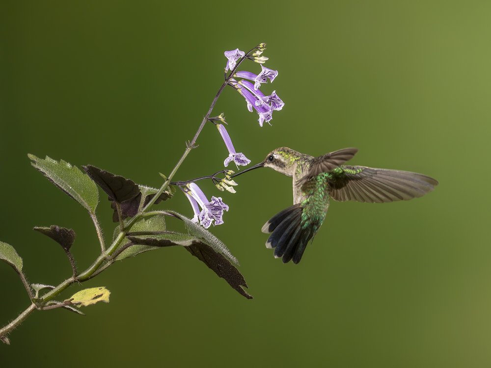 Photograph by Esteban Argerich