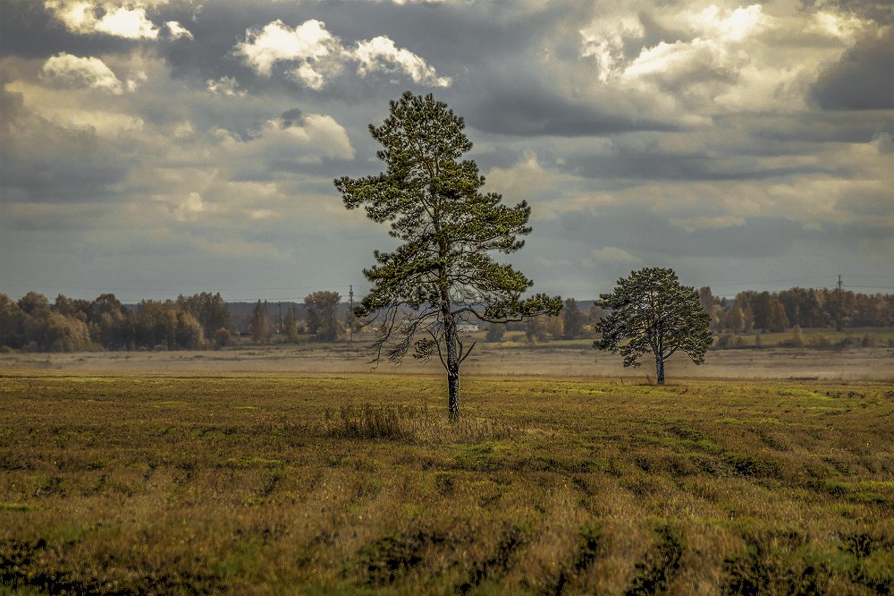 Photograph by Дмитрий Петровский