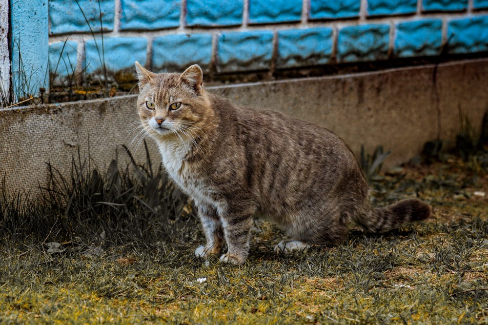 Photograph by Павел Шарапов