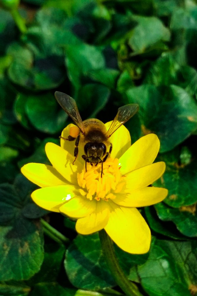 Photograph by Саламбек Ханкушов