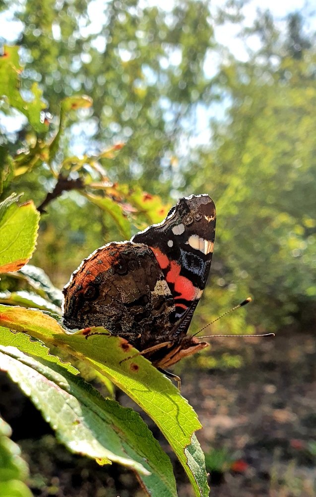 Наслаждение