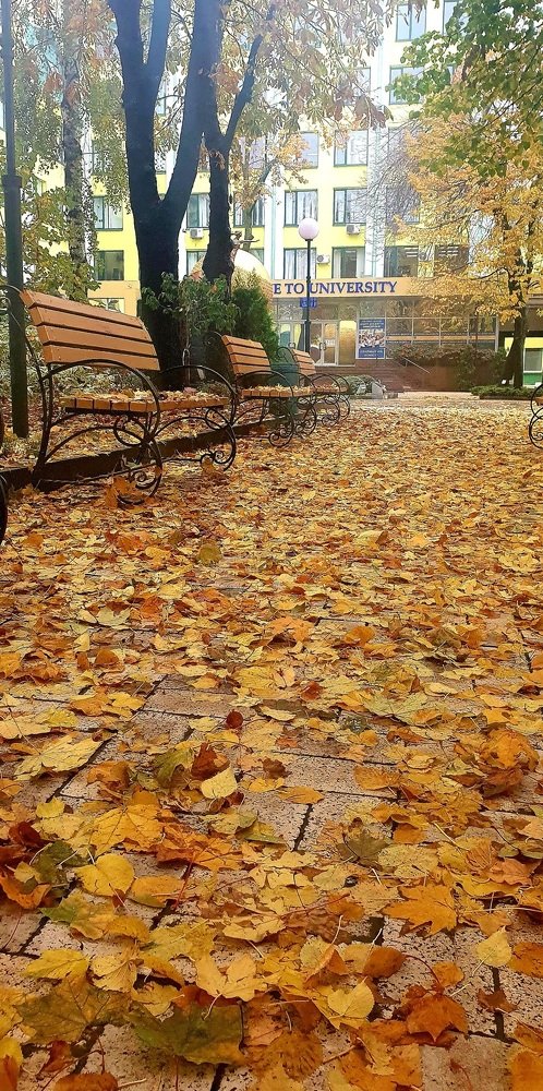 Золотой путь