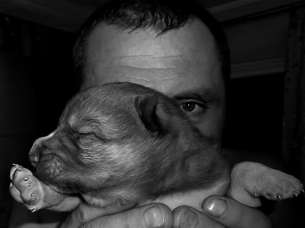 Photograph by Светлана Лехмус