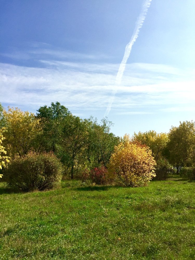 Photograph by Анастасия Мангольд