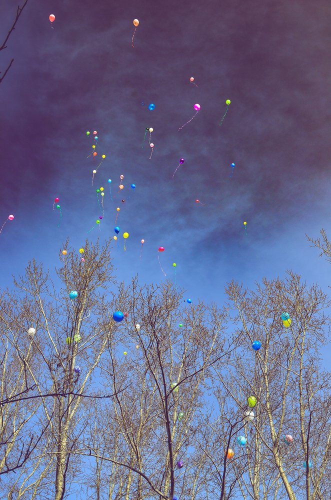 Photograph by Сергей Глухарев