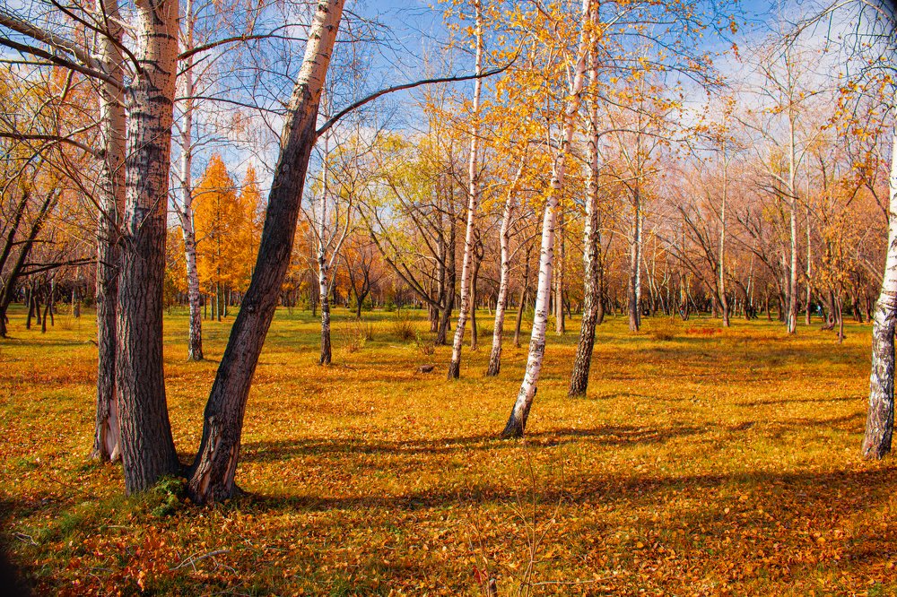 Photograph by Михаил Чмир