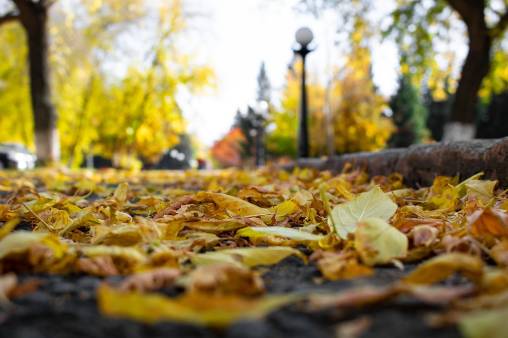 Photograph by Михаил Чмир