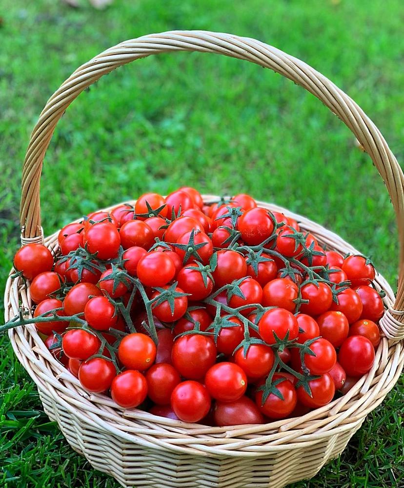 Photograph by Елена Смирнова