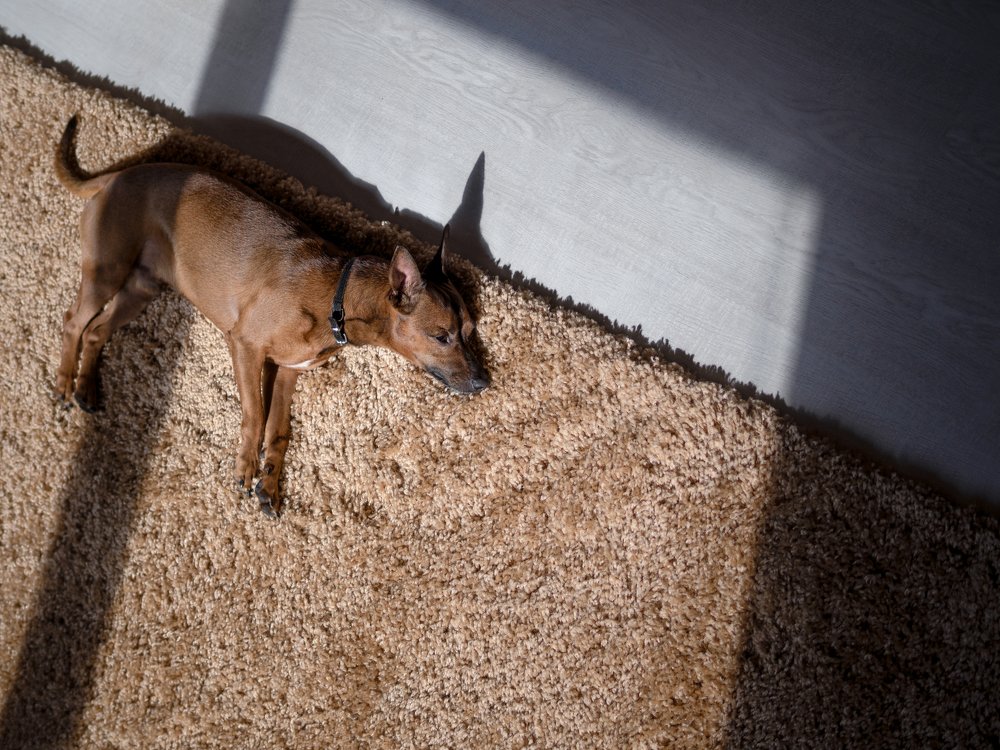 Photograph by андрей гусев