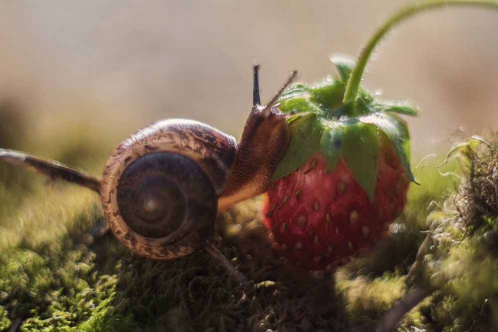 Photograph by Юлия Щербакова