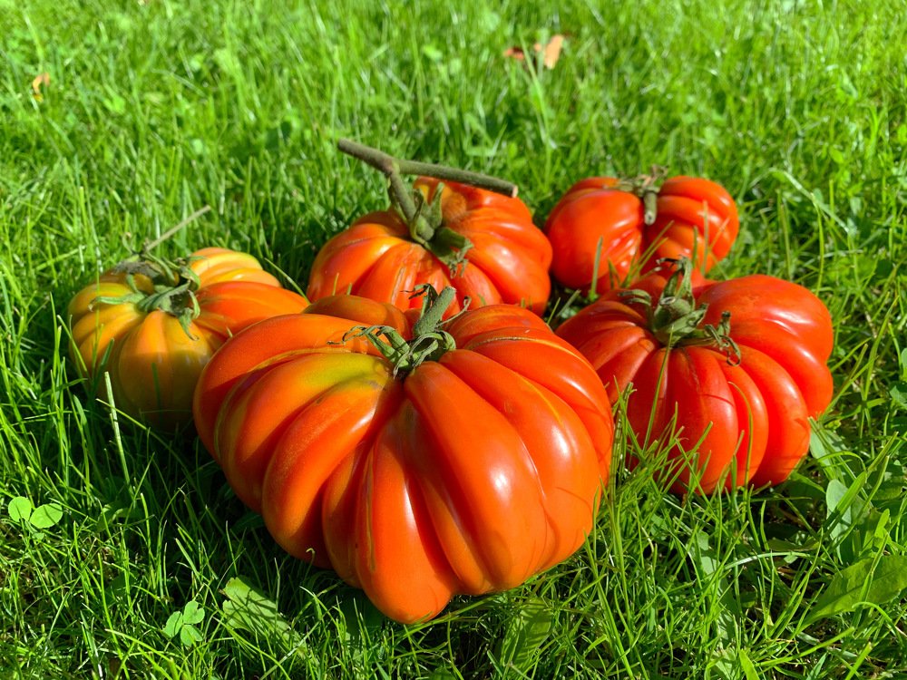 Photograph by Елена Смирнова