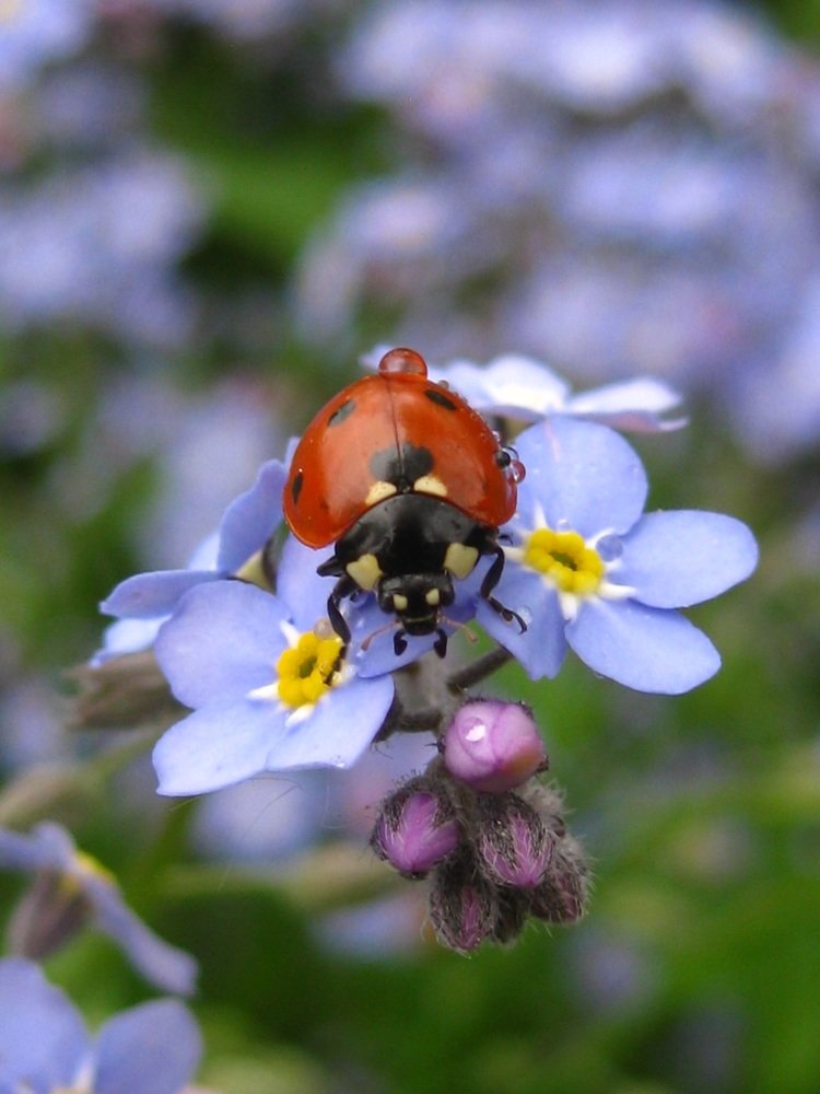 Photograph by Елена Смирнова