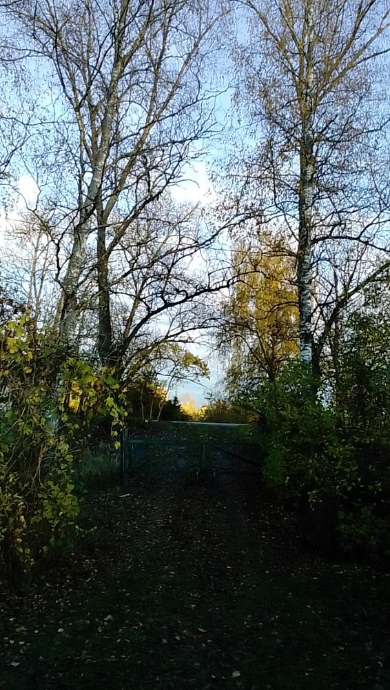 Осеннее утро.