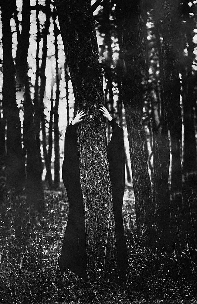 Photograph by Алексей Гуляев