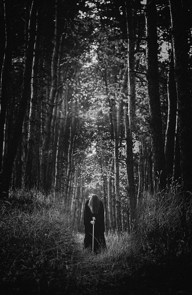 Photograph by Алексей Гуляев