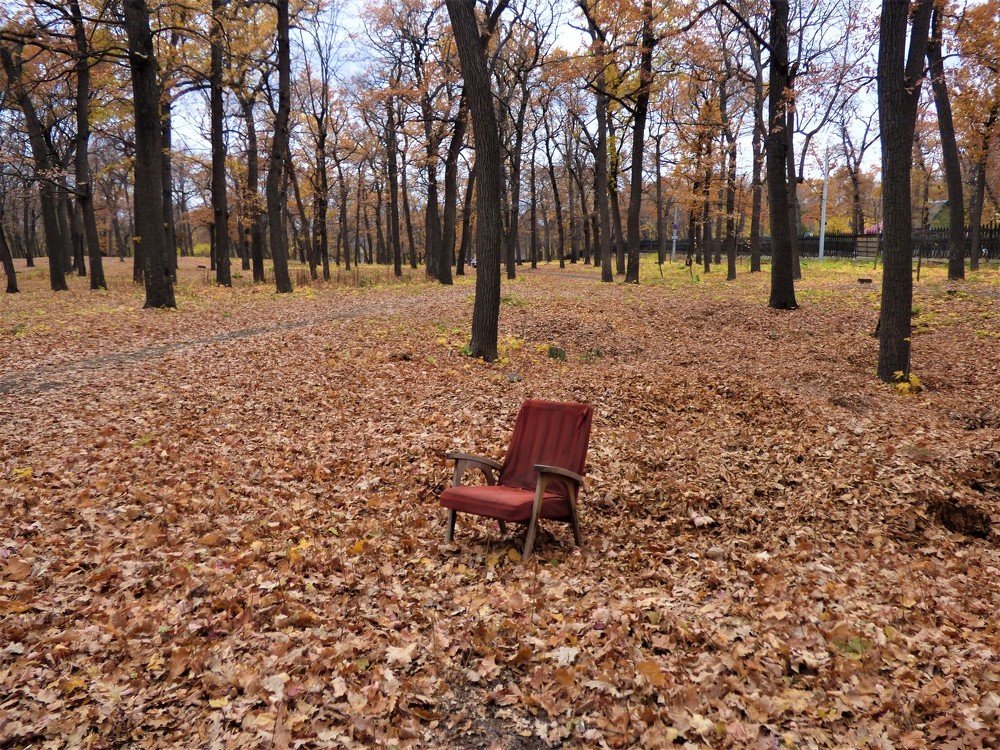 Photograph by Юлия Невзорова