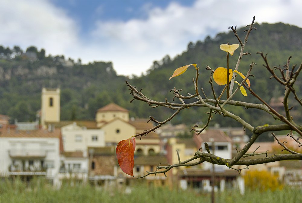 Photograph by Jordi Roig