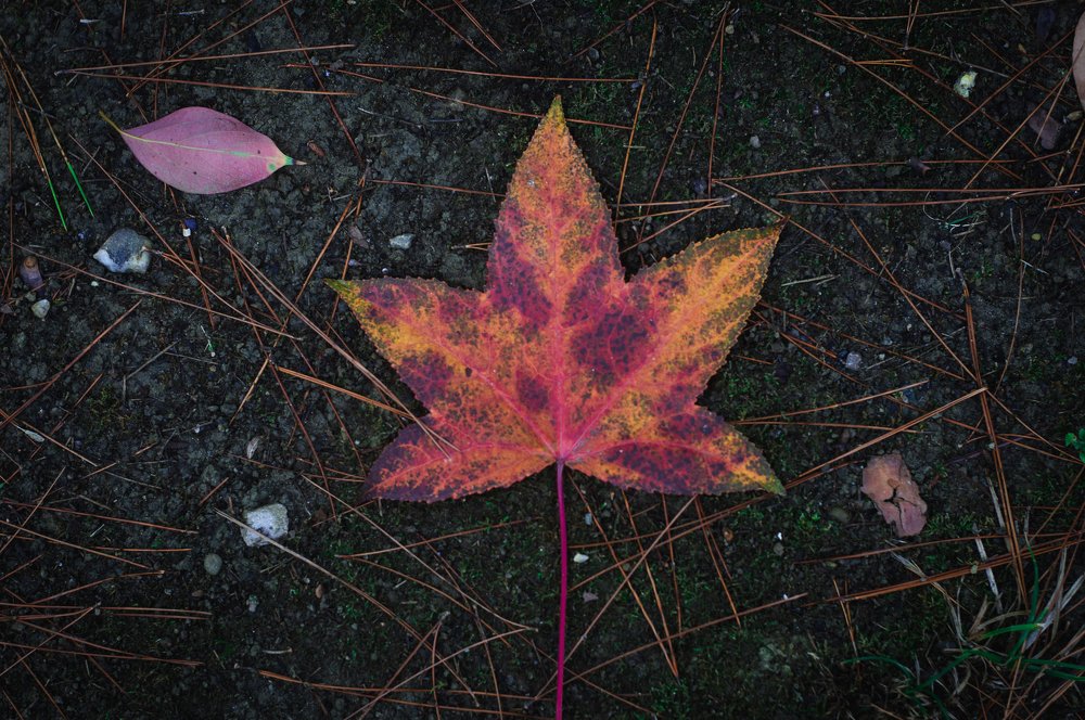 Photograph by Дмитрий Цикин