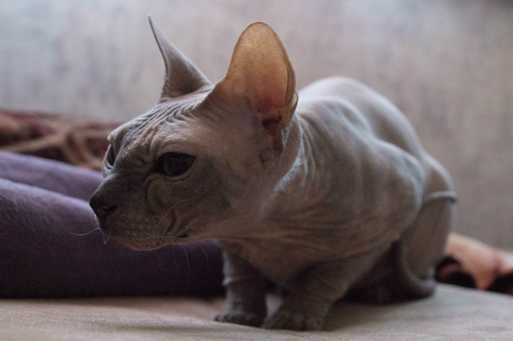 Photograph by Антон