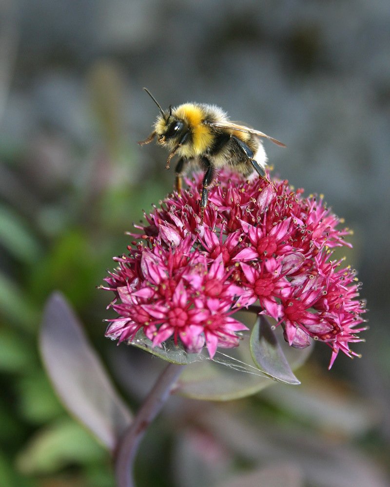 Photograph by Олег Фокин