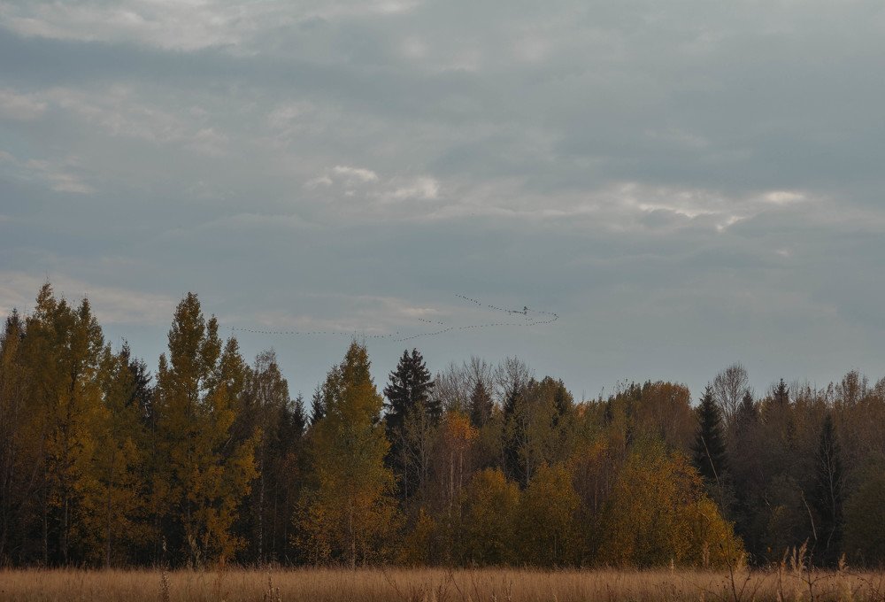 Photograph by Надежда Кузьмина